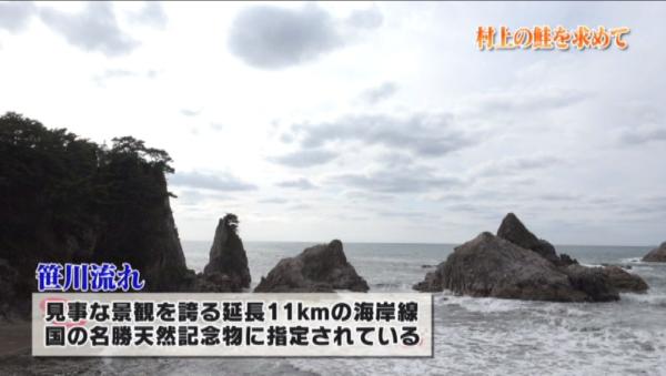 日本海の波の侵食でできた海岸線「笹川流れ」